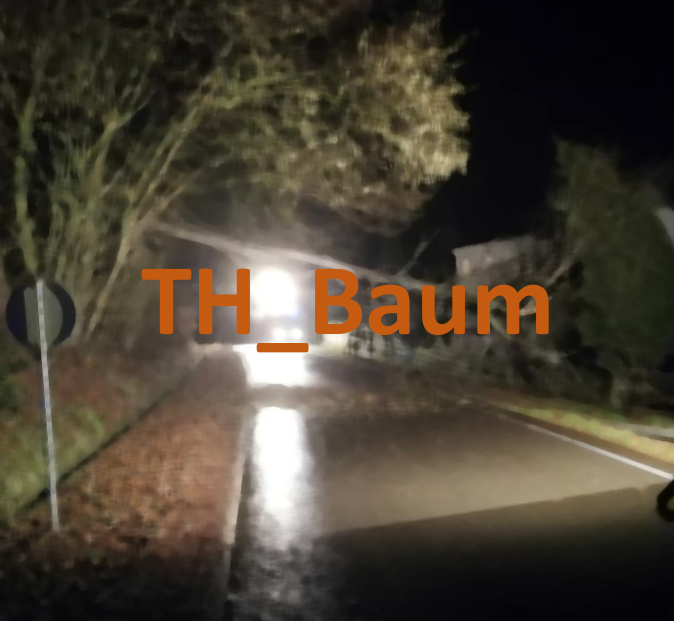 You are currently viewing TH_Baum