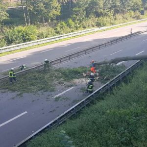 Mehr über den Artikel erfahren TH 1; Baum auf Fahrbahn