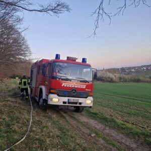 Mehr über den Artikel erfahren F 0 – Brennender Baumstumpf