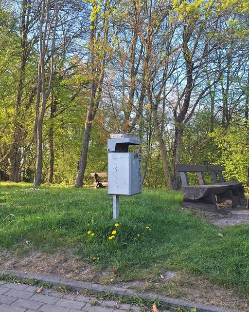 Ist möglicherweise ein Bild von Baum, Gras und Text