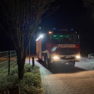 Mehr über den Artikel erfahren TH2Y – E-Call ohne Sprechkontakt